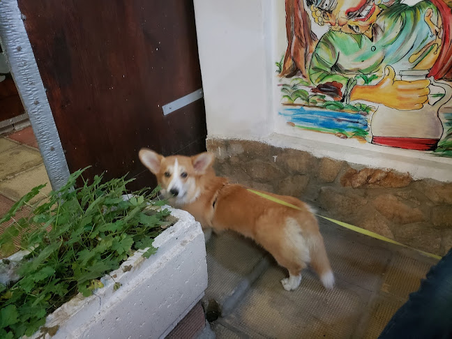 Opinii despre „Бялата къща” în Шумен - Гастрономия и хотелиерство