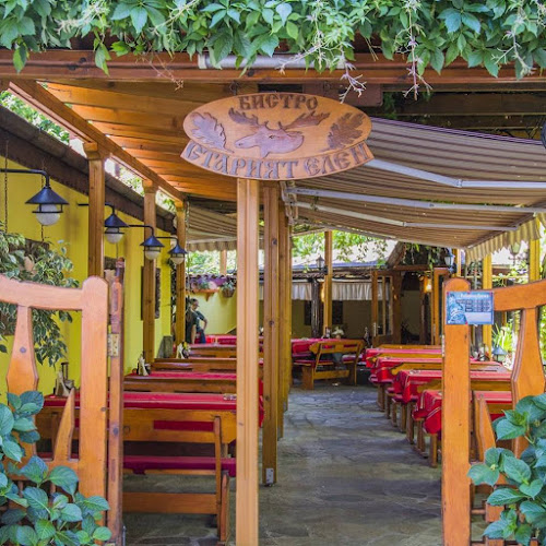 Старият елен