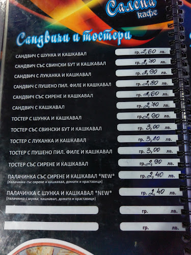 Салена - Сливен