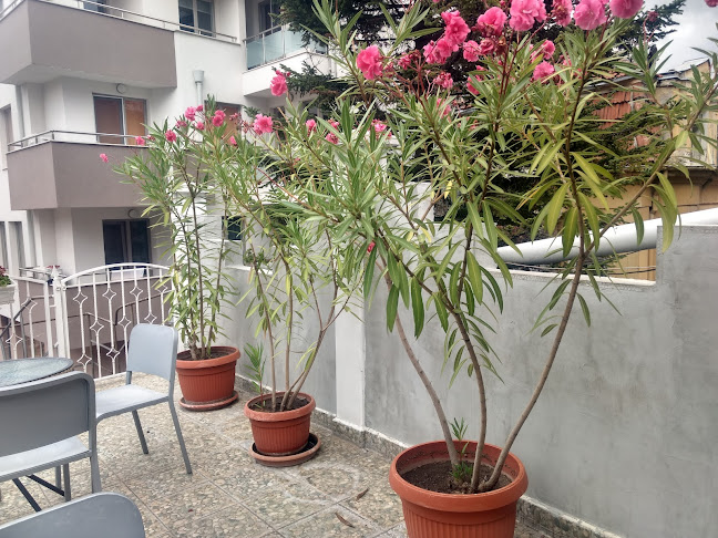 Comentarii opinii despre Долче Вита