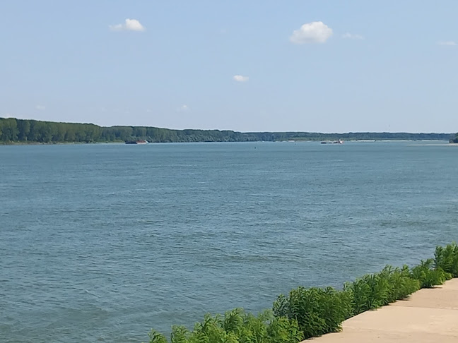 Бистро "Рибката" - Гастрономия и хотелиерство