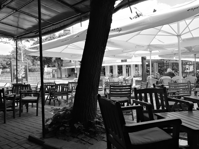 Cocktail bar MONDO - Варна