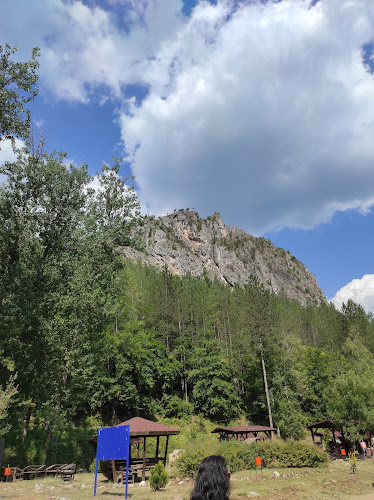 Бо Кафе - Трън