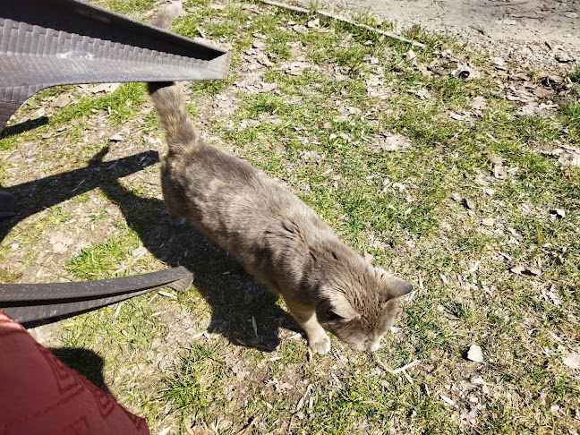 Северен, 1231 София