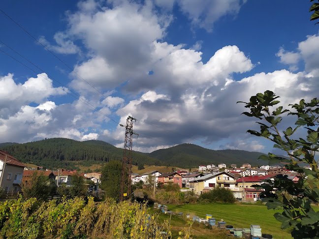 843 21, 4633 Сърница