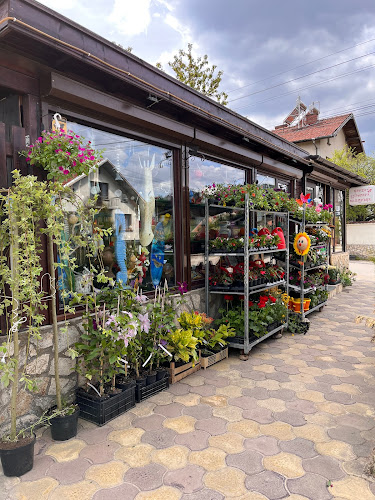 Цветарски магазин „Подари цвете“