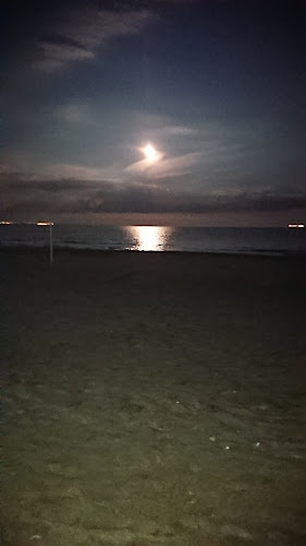 Comentarii opinii despre Ресторант „Воденицата“