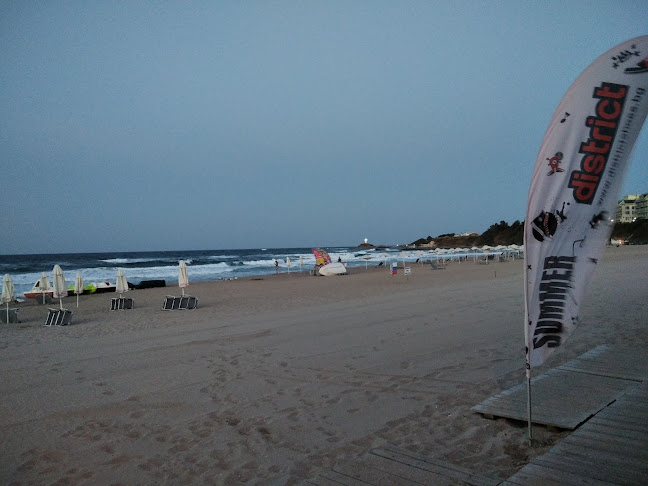 Summer Mood - Лозенец