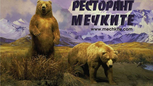 Мечките - София