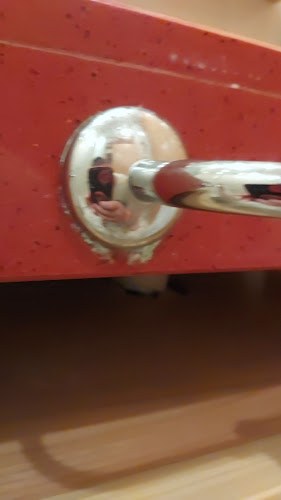 Ресторант "Калиакра" - Албена