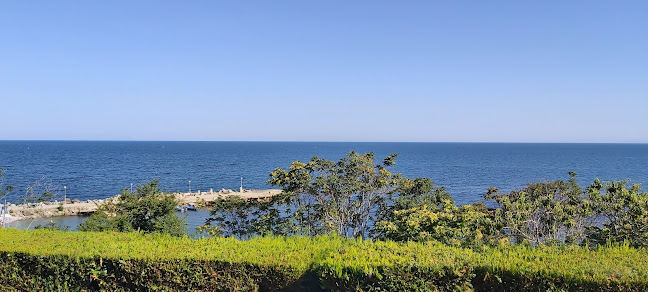 Comentarii opinii despre Ресторант "Тангра"