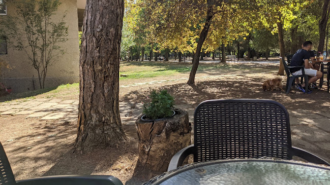 Comentarii opinii despre Фреш бар кафе "CoffeeIN"