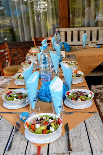 Comentarii opinii despre Сингър