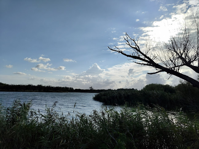 Ресторант Кибела - Гастрономия и хотелиерство