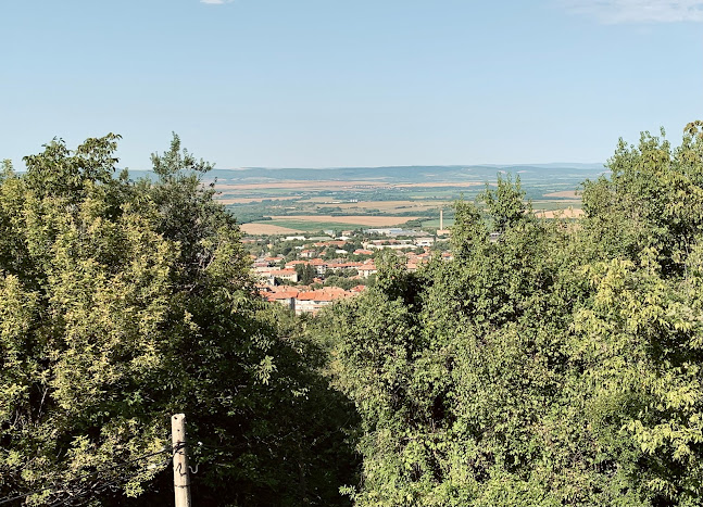 Opinii despre Ресторант Лесопарка în Лясковец - Гастрономия и хотелиерство