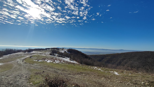 Opinii despre Restaurant Bar Harmony Suites Monte Carlo în Слънчев бряг - Гастрономия и хотелиерство