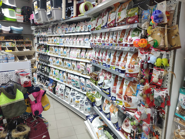 Comentarii opinii despre Зооветмаркет