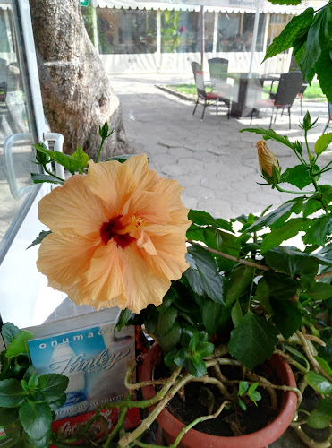 България 14, 6900 Крумовград