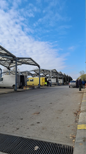 Зеленчукова Борса Огняново