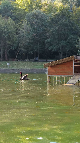 Comentarii opinii despre Механа "Воденицата" Благоевград