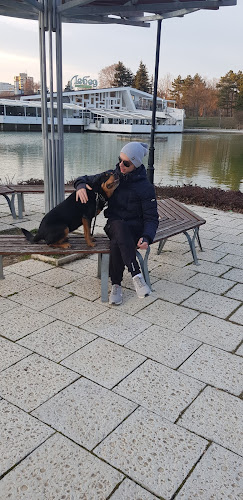 Комплекс „Лебед“ - Добрич