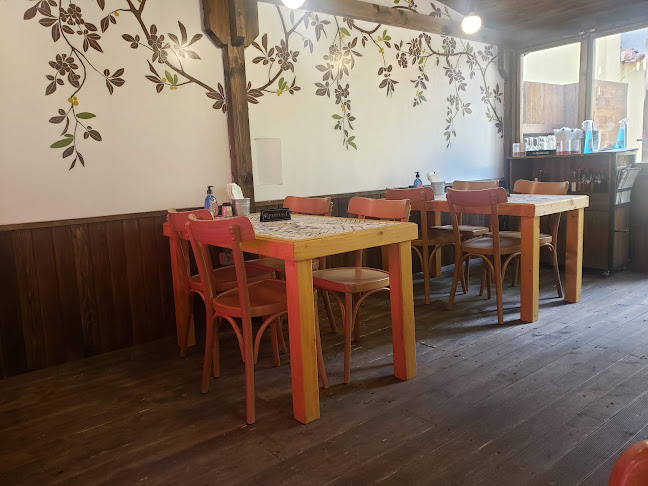 Comentarii opinii despre Franco Fanucci - Iztok