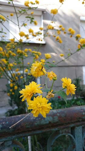 Пазар Гагарин - Гастрономия и хотелиерство