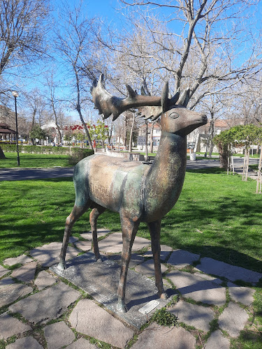 Comentarii opinii despre Кафе-аператив Глобус