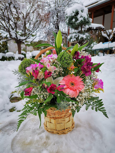 Comentarii opinii despre Цветарски магазин „Подари цвете“