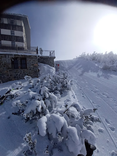 PGXP+5H, 2777 Добринище