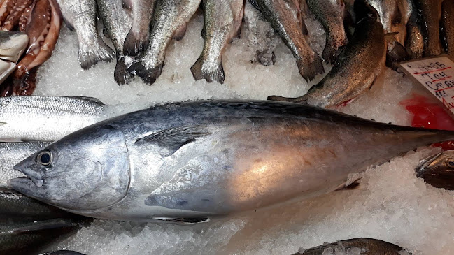 Comentarii opinii despre Созопол