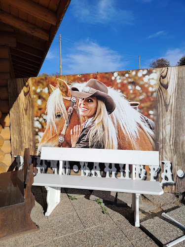 Ресторант „Дървената къща - Стражата“ (Мандра „Свежест“) - Гастрономия и хотелиерство