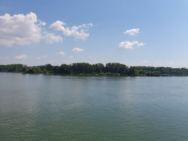 Бистро "Парадайз" - Гастрономия и хотелиерство