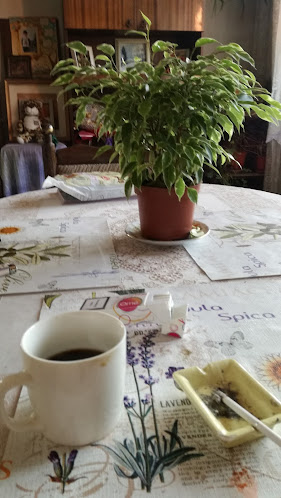 Закуски Фантазия - Своге