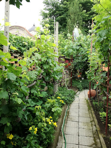 Кафене "Виена" - Брацигово