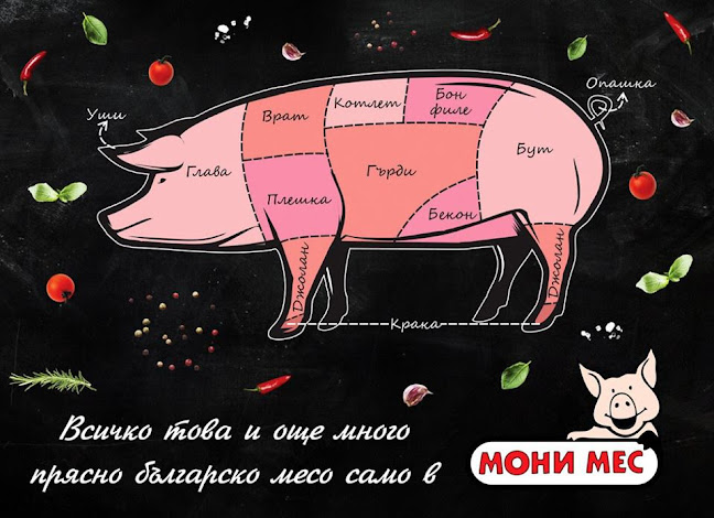 Comentarii opinii despre Мони Мес