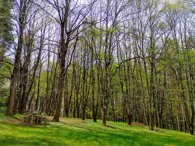 Comentarii opinii despre Вила Електра