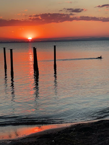 Comentarii opinii despre При Томата