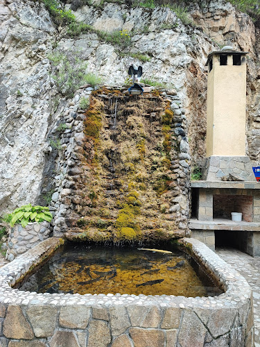 197 87, 4815 Девин