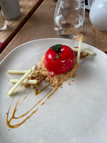 Comentarii opinii despre Тамс хаус