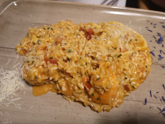 Opinii despre Ресторант Кактус Център în София - Гастрономия и хотелиерство