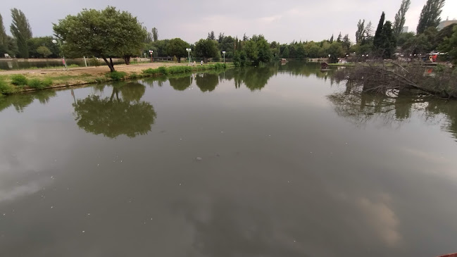 Ресторант "Орфеида" - Стара Загора