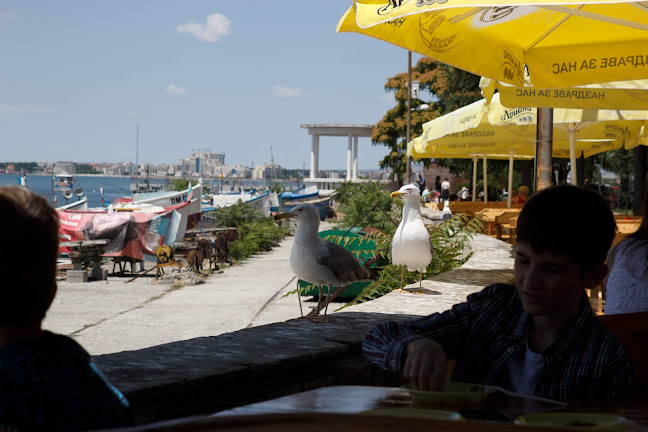 Opinii despre Морски Дар în Поморие - Гастрономия и хотелиерство