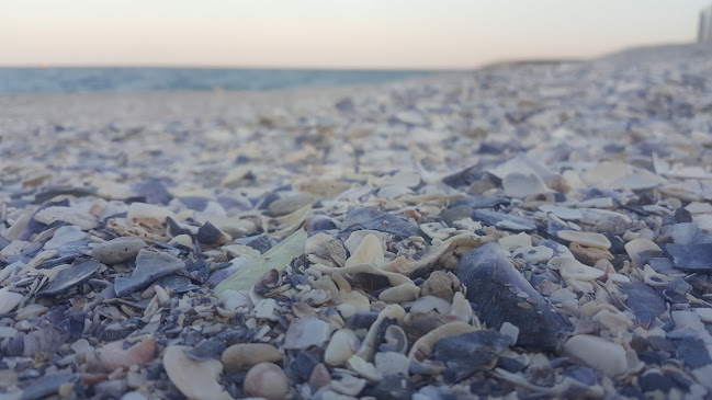 кв. Стария град, ул. „П. К. Яворов“ 10, 8200 Поморие