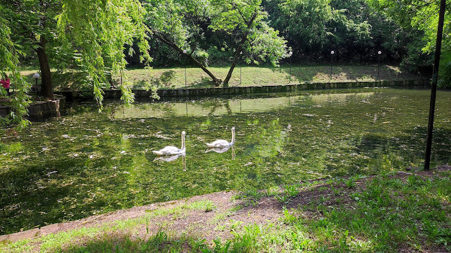 Проход Вратцата, 3001 Враца