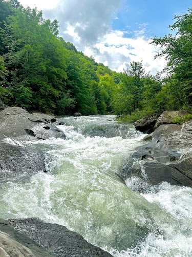 Валевци и спа - Гастрономия и хотелиерство