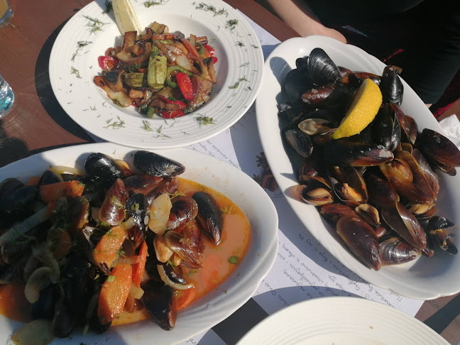 Аспарухово, ул. Вл. Димитров Майстора 5, 9000 Варна