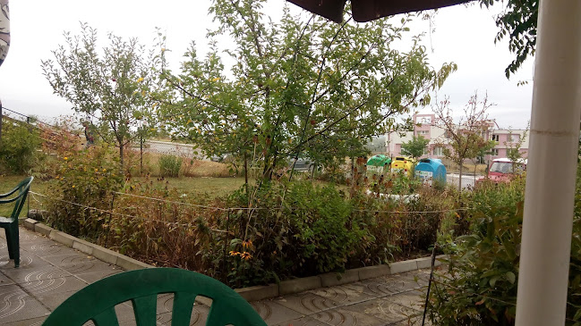 Comentarii opinii despre Гранд Кафе