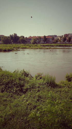 Opinii despre Детска млечна кухня 3 în Пловдив - Гастрономия и хотелиерство