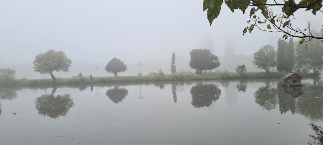 Comentarii opinii despre Ресторант "Орфеида"